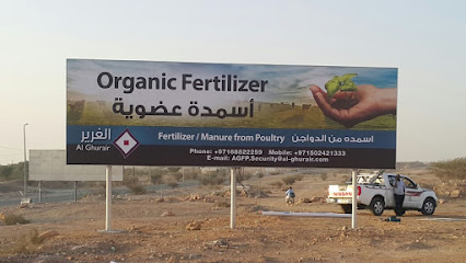 مزرعة دواجن الجبل - رأس الخيمة -