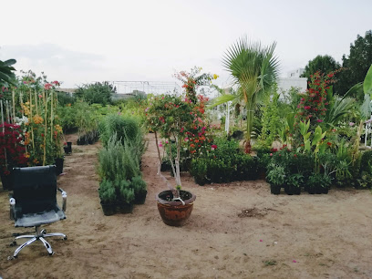 نبراس لتنسيق الحدائق والري | متجر نباتات عبر الإنترنت - دبي - +971 50 701 4645
