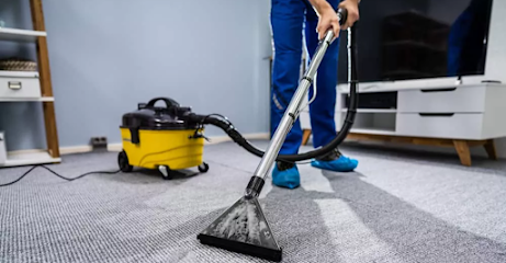 موثوقة لمكافحة الآفات والخدمات البيئية - رأس الخيمة - +971 50 345 7652