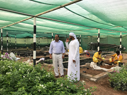 حضانة بلدية مدينة الذيد - رأس الخيمة - +971 6 882 8801