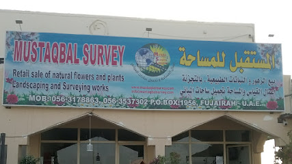 مسح المستقبل - دبي - +971 50 410 5664