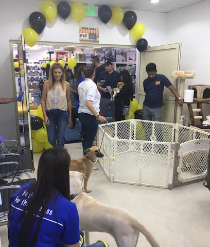 PetMart - رأس الخيمة - +971 4 886 0399
