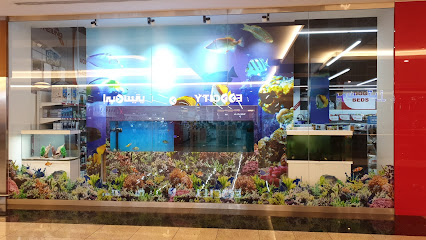 متجر الحيوانات الأليفة أبوظبي - United Arab Emirates|Abu Dhabi|Dalma mall|8GMF+HFF