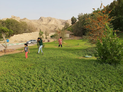 ينابيع المبزرة الخضراء الحارة - دبي -