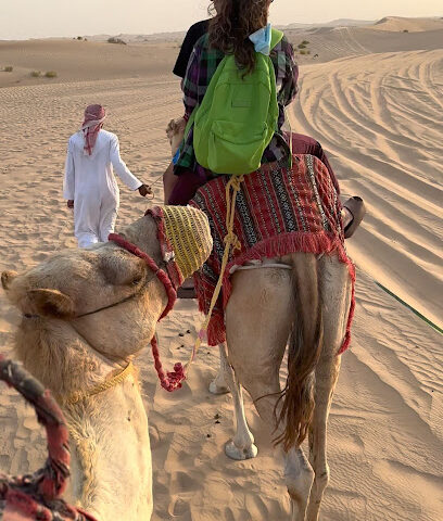 الكثبان الرملية - رأس الخيمة -