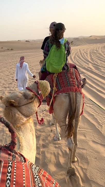 الكثبان الرملية - United Arab Emirates|Abu Dhabi|City|3MG3+MP6