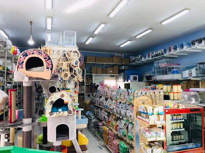 رعاية الحيوانات الاليفة - رأس الخيمة - +971 54 441 5728