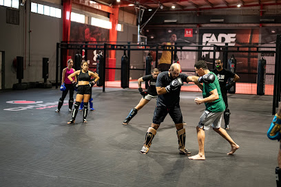 Falcons MMA - دبي - +971 50 864 8360