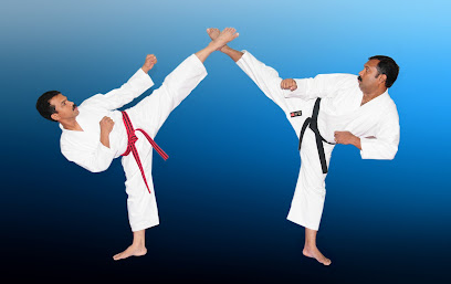 جولدن تايجر كاراتيه الشارقة - دبي - +971 6 553 8600
