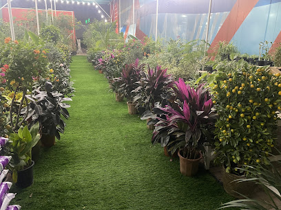 مصانع الصحراء - رأس الخيمة - +971 56 524 3906