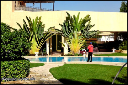 شركة ايفرجرين لتنسيق الحدائق - دبي - +971 2 677 0074