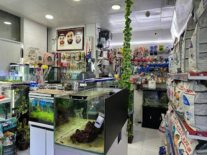 الرعد الغابة متجر الحيوانات الأليفة ذ - رأس الخيمة - +971 50 120 9324