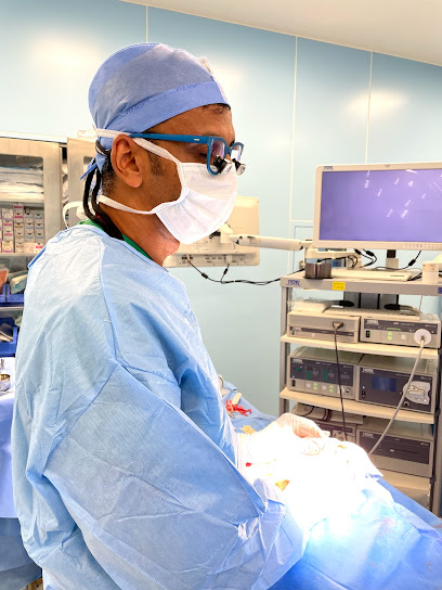 د. فيصل أمير ، جراحة تجميلية د - United Arab Emirates|Al Jerf 1 - Ajman|University St|Thumbay University Hospital