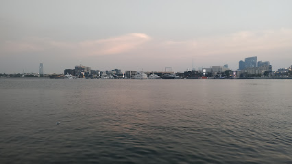 تاكادو العالمية للتجارة العامة (ذ. - United Arab Emirates|Port Saeed - Riggat Al Buteen - Dubai|1st St|Nr Etisalat