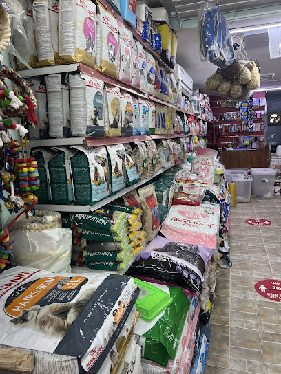 زون تايم بيوتي بيردز ذ - United Arab Emirates|Al Zahiyah - Al Mina - Abu Dhabi|Road