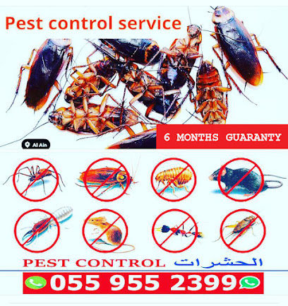 خدمة مكافحة الآفات العين - رأس الخيمة - +971 55 955 2399