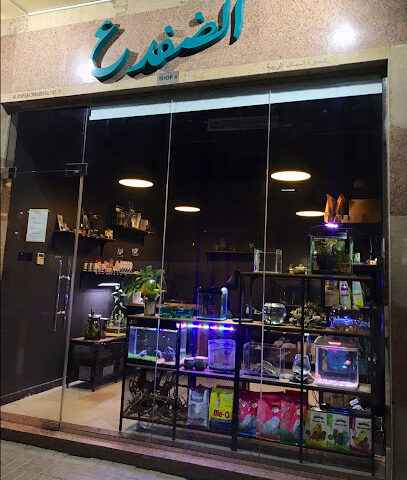 الضفدع - AquaFrog - رأس الخيمة - +971 50 243 0288