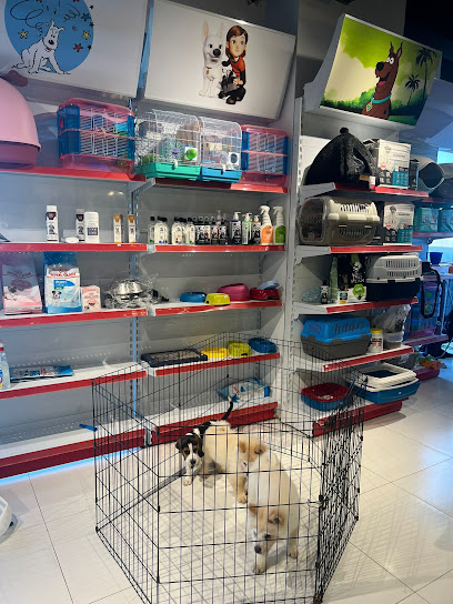 حياة مذهلة للحيوانات الأليفة - United Arab Emirates|Majan - Dubai|Shop-8