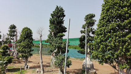 ملعب المواهب ملعب المواهب - رأس الخيمة - +971 56 447 2272
