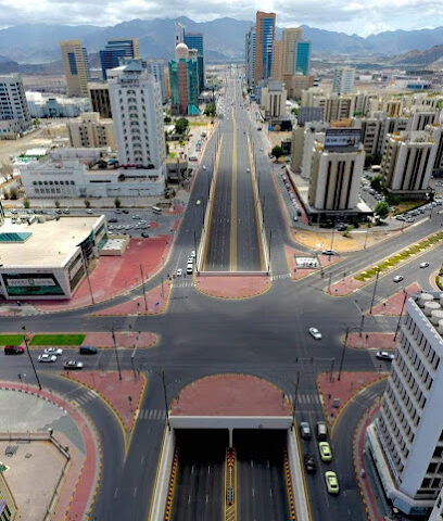 شركة الفجيرة الوطنية للتأمين - دبي - +971 9 223 3355