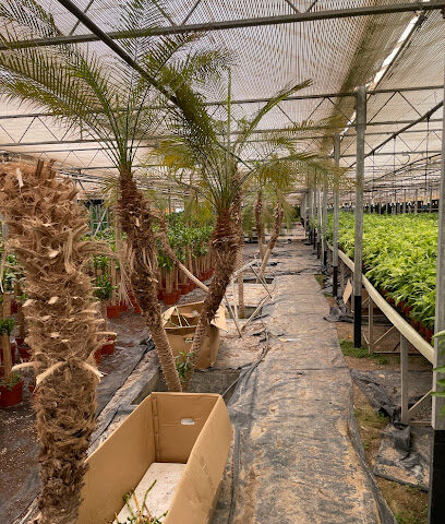 سيجي جرين هاوس الفجيرة - دبي - +971 6 882 7265