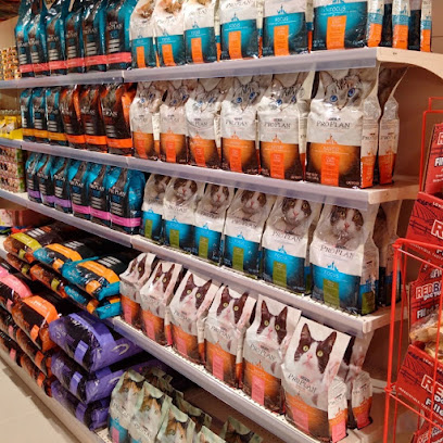 Dog Food - دبي مردف - رأس الخيمة - +971 58 554 1305