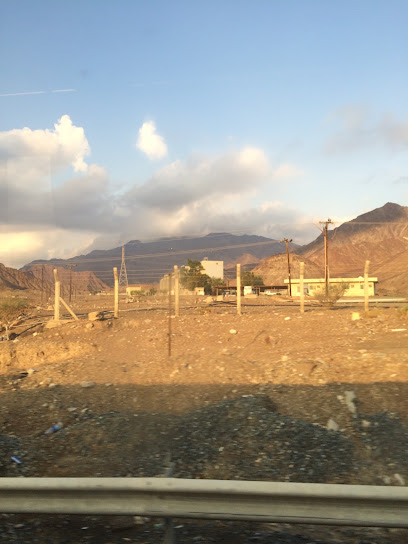 الشركة العربية لانتاج الدواجن - United Arab Emirates|Wadi Yabsah - Fujairah