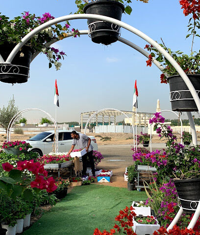 حضانة الروشة دبي ورسان - رأس الخيمة - +971 52 606 0444