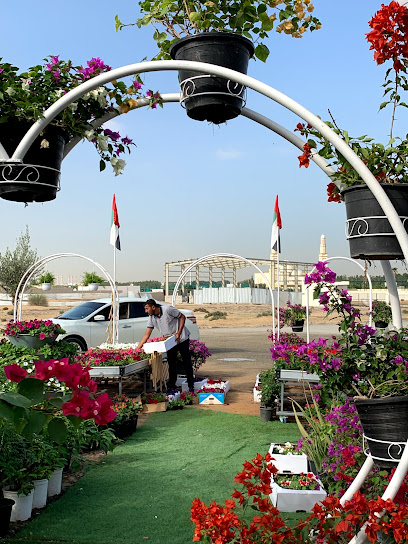 حضانة الروشة دبي ورسان - United Arab Emirates|Warsan 3 - Dubai|1 Dina Home St