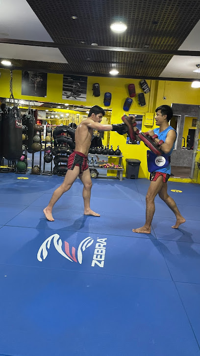 نادي كولوسيوم مواي تاي للصحة واللياقة البدنية - United Arab Emirates|Dubai|Zaa'beel St|Gym Floor