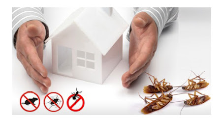 Cleangreenuae.com - رأس الخيمة - +971 50 271 5650