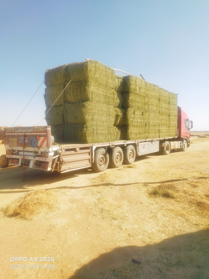 تغذية رودس - United Arab Emirates|al anka port - Abu Dhabi|Al rawdha street