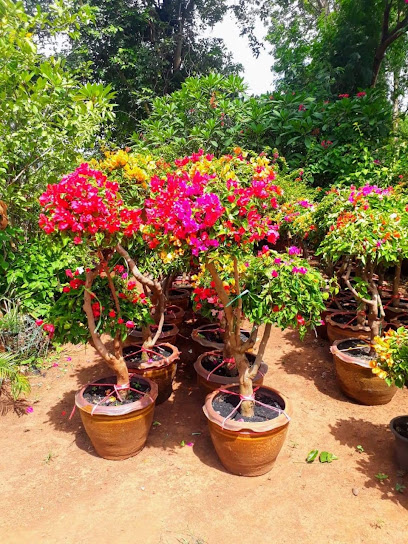 حضانة تاي جاردنز - United Arab Emirates|Warsan 3 - Dubai|Floristics Gardens St