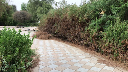 ممشى الصاروج - الفجيرة - +971 3 712 8000