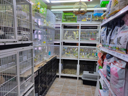محل الاراضي الخضراء - رأس الخيمة - +971 52 518 2727