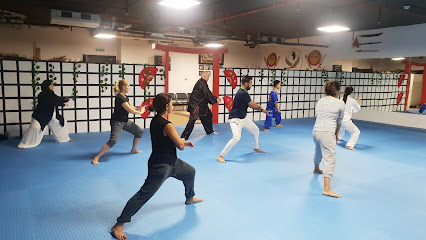 النسر الذهبي لفنون الدفاع عن النفس - دبي - +971 50 695 5109