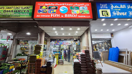 علي إيماني للطيور وتجارة الأسماك - رأس الخيمة - +971 56 459 3956