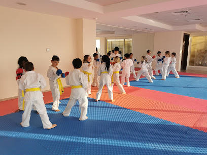 مدرسة كيدوجو كاراتيه - دبي - +971 50 503 2381