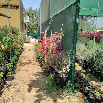مشتل الواحة - رأس الخيمة - +971 56 208 5775
