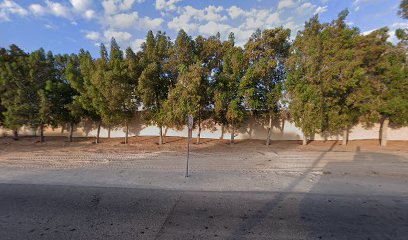 ستوديو باز بي - دبي - +971 55 684 5572