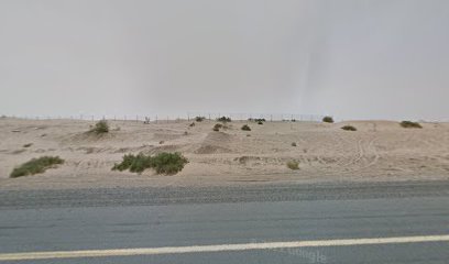 نيتوورث للتجارة العامة ذ - دبي - +971 52 663 6614