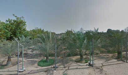 نور المشعل لتنظيف وطلاء المعادن ذ - الفجيرة - +971 50 993 5862