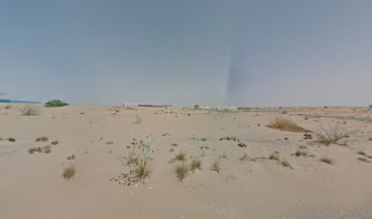 سقف بلس لمواد العزل ذ - دبي - +971 6 536 6322