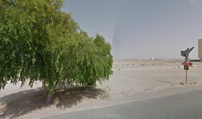 د. عاطف زيدان - رأس الخيمة -