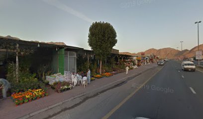 حضانة - رأس الخيمة - +971 55 728 0990