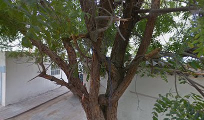 حضانة ببا - رأس الخيمة -