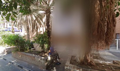 أفريقيا للتجارة العامة ذ م م دبي. الإمارات العربية المتحدة - دبي - +971 4 228 0309