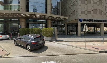 Kayaar - التسويق الرقمي ، SEO دبي - دبي - +971 50 957 8933