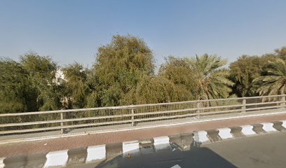 المسوق الصحيح NG - دبي - +971 52 875 7316