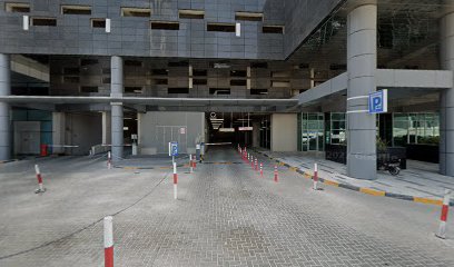 استشاريو المناظر الطبيعية الجنوبية - دبي - +971 4 376 0888